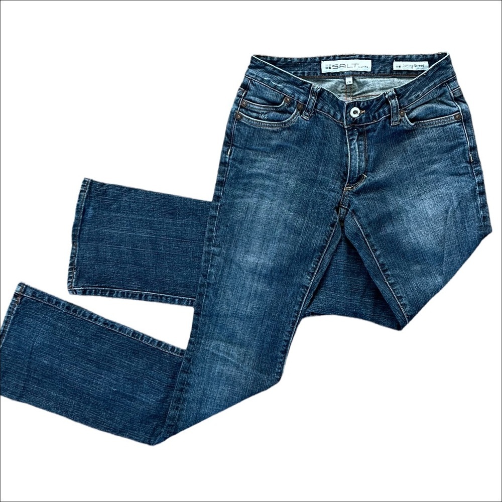 SALT WORKS Spring Street Distressed Low Rise Jeans Size 26